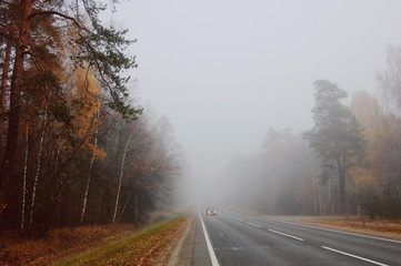 Foggy road in autumn forest