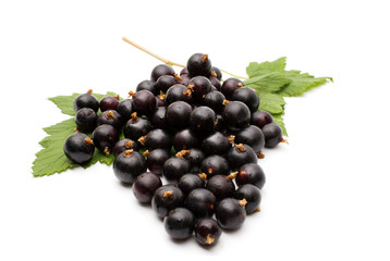 Black currant with leafs top view