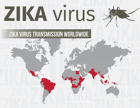 Zika virus infographic template include transmission worldwide. EPS 10
