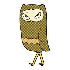 cartoon owl