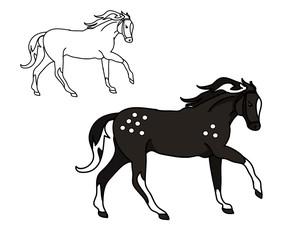 The graphic, abstract black lines. The drawing in color, in shades of gray - the black stallion in apples. A horse galloping. Vector illustration 