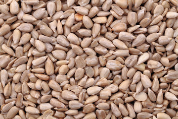 sunflower seeds background
