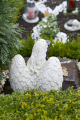 Engel von hinten