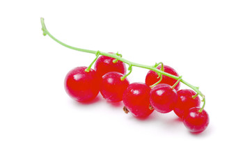 red currants on a white background
