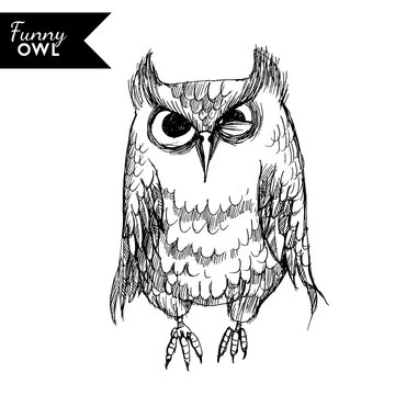 funny owl character