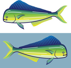 Dolphin Fish