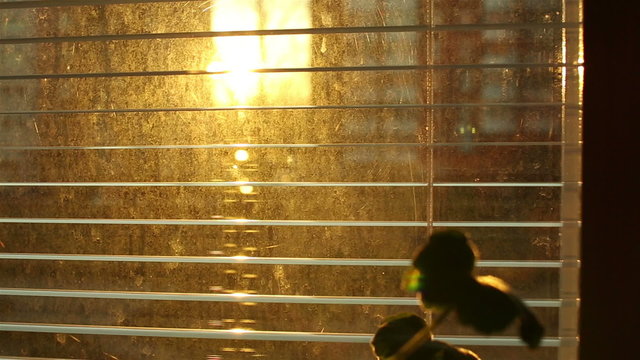 View through jalousie on sunset. Jalousie is in focus, buildings and sunset is out of focus