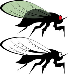 Cicada vector