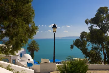 Outdoor-Kissen Tunesien. Sidi Bou Said - typisches Gebäude mit weißen Wänden, blauen Türen und Fenstern © WitR