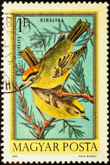Firecrest (Regulus ignicapillus) on postage stamp
