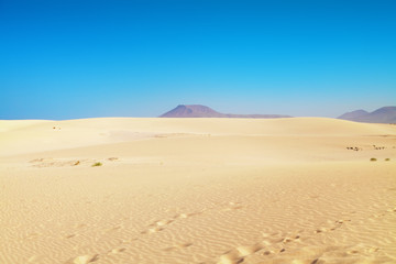 sand dunes
