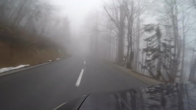 Driving in fog in country road