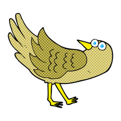 cartoon bird