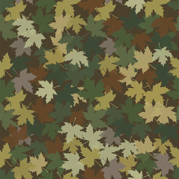 Camouflage in the form of fallen maple leaves. 
