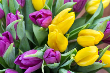 Purple and yellow tulip bouquet. More tulip on the grey backgrou