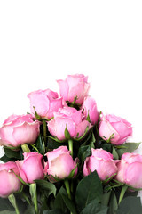 Bouquet of beautiful pink roses
