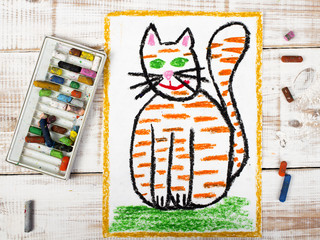 colorful drawing: fat ginger cat