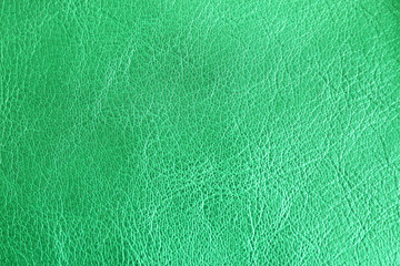 Green leather texture close up