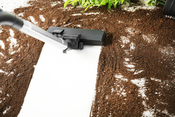 Vacuum cleaning after falling flower pot on a tiled floor