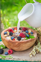 Healthy muesli with milk and berry fruits in garden