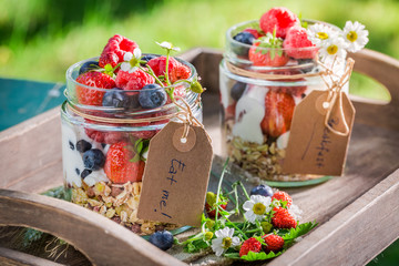 Healthy muesli with berry fruits and yogurt in garden
