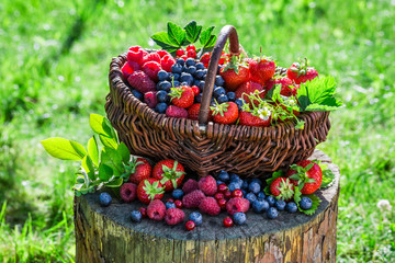 Ripe berry fruits in basket