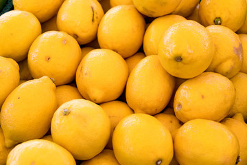 group of lemon