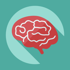 Flat modern design with shadow the brain