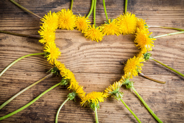 Arrangement of dandelions in the heart shape