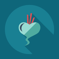 Obraz premium Flat modern design with shadow icons beet