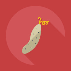 Flat modern design with shadow icons cucumber