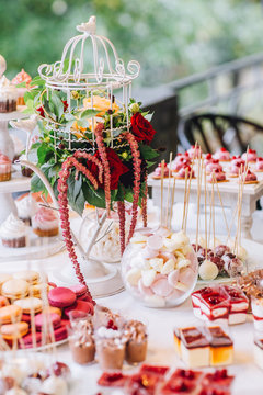 Delicious Wedding Cake and Candy Bar