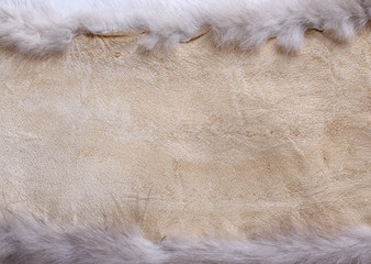 Fur and leather background