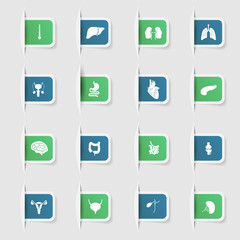 Set, a collection of unique paper stickers human organs medicine