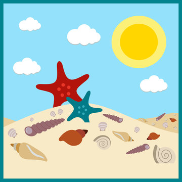 seashells in the sand shells summer image