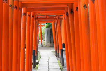 Torii of Inari Shrine