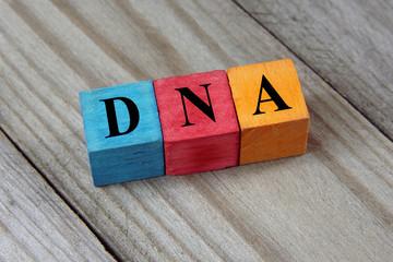 DNA (Deoxyribonucleic acid) acronym on colorful wooden cubes