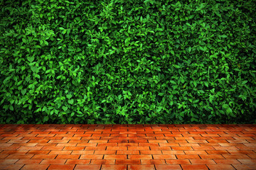 Green leaves wall background