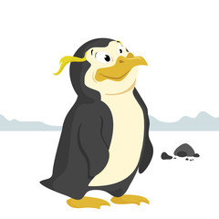 Obraz premium penguin isolated vector