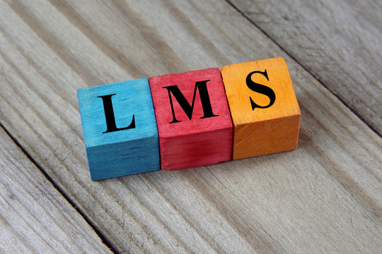 LMS (Learning Management System) acronym on colorful wooden cube
