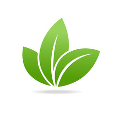Eco icon with green leaf. Isolated on white background.