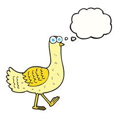 thought bubble cartoon bird