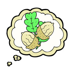 thought bubble cartoon acorns