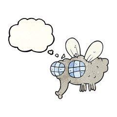 thought bubble textured cartoon fly