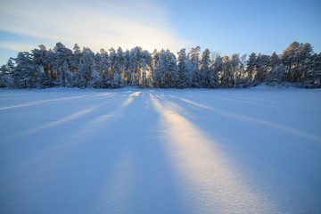 Frozen lake and snow covered forest