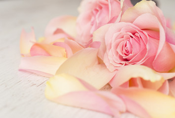 Close up background with pink roses over white wooden table. Top view with copy space