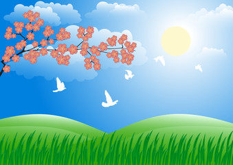 Spring landscape. Green grass and sakura blossoms. Vector background.