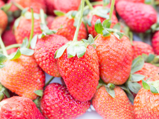 Strawberry fruit