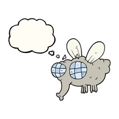 thought bubble cartoon fly