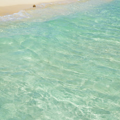 Fototapeta na wymiar Soft wave of the tropical sea on the sandy beach. Caribbean Sea